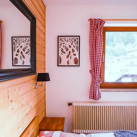 公寓 Haus Wasserbauer *