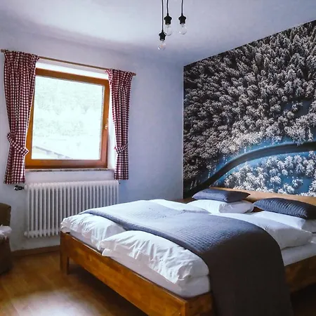 Apartamento Haus Wasserbauer *