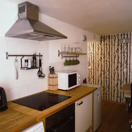 Apartamento Haus Wasserbauer