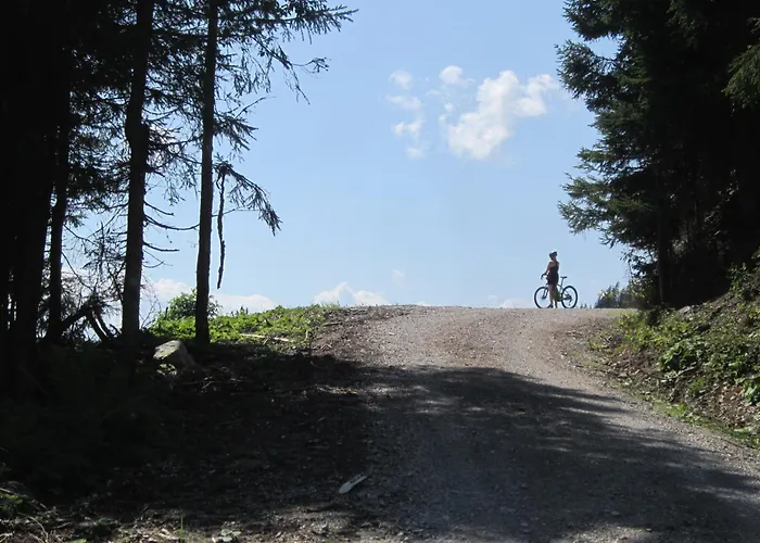 Διαμέρισμα Haus Wasserbauer Mühlbach am Hochkönig