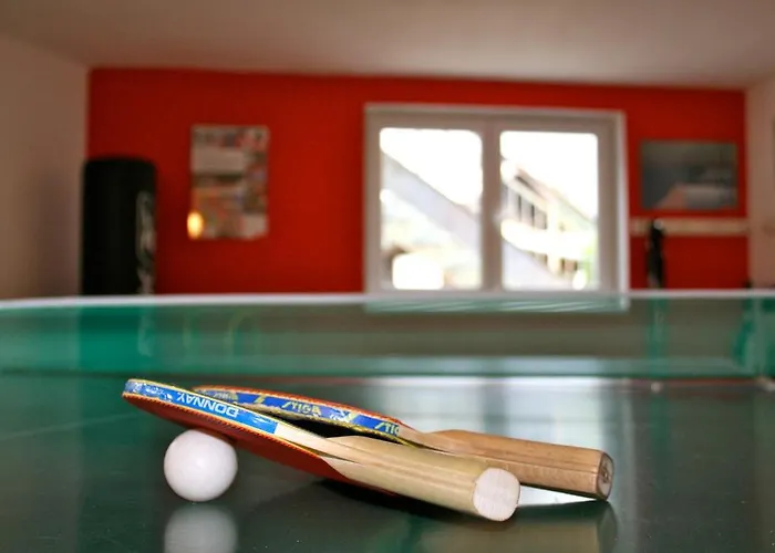 Διαμέρισμα Haus Wasserbauer Mühlbach am Hochkönig